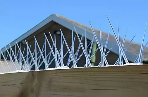 Bird Spikes Projects - Mahesh Safety Solutions