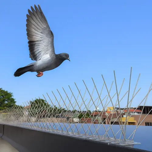 Premium Bird Spikes for Pigeons in Andhra Pradesh and Telangana